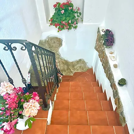 Casa Viola * 몬티