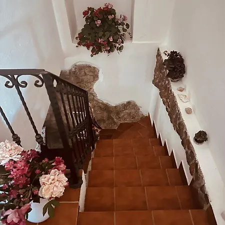 Holiday home Casa Viola